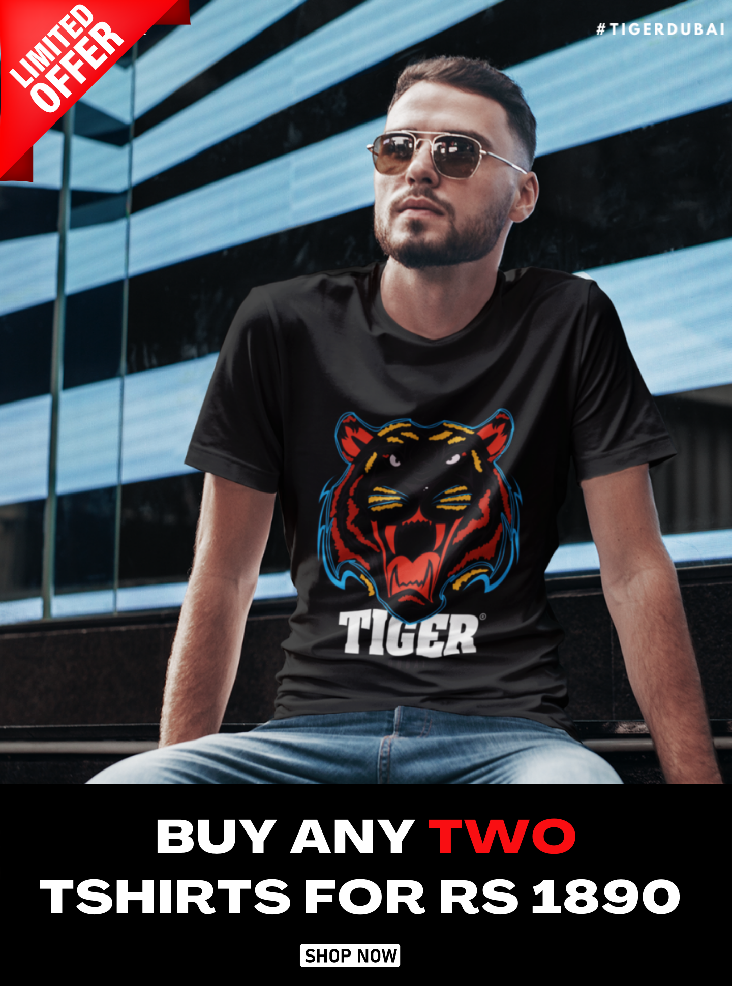 Bundle of 2 Tiger T-Shirts